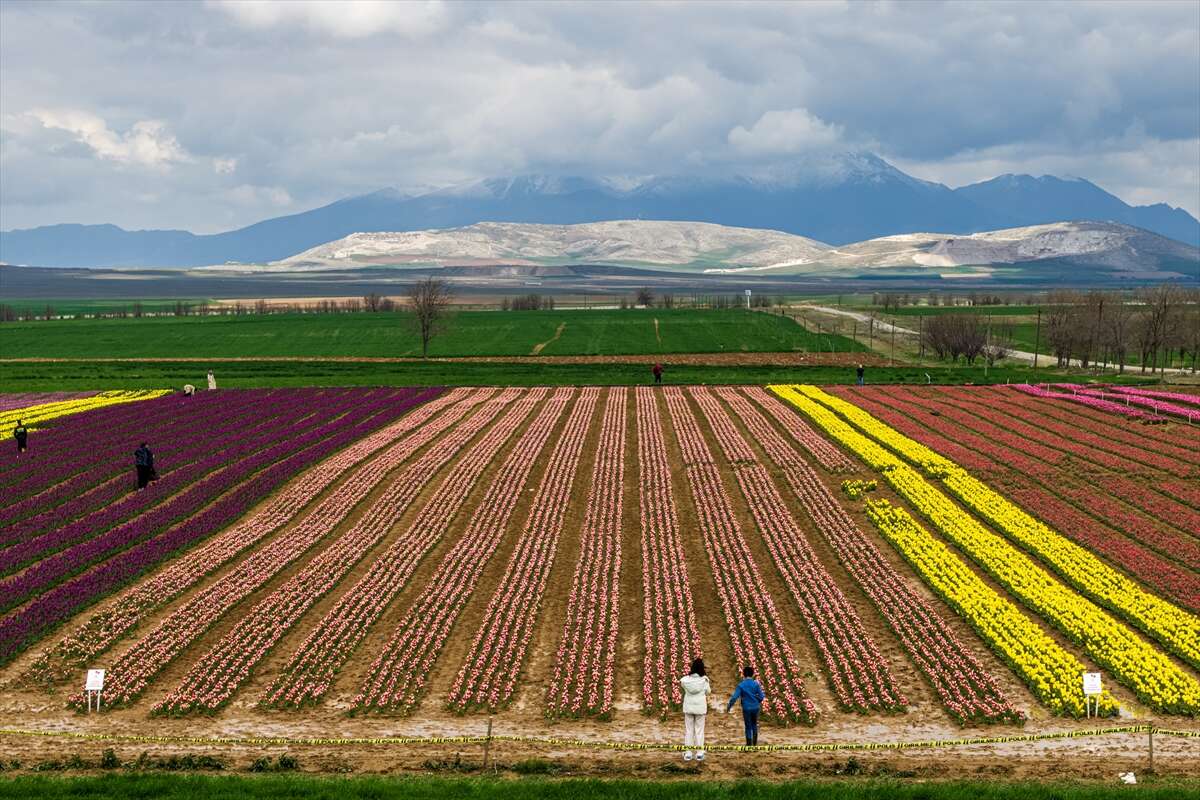 Konya’dan günübirlik kaçanlar çok! Ünlü lale cenneti ziyaretçilerini bekliyor 18